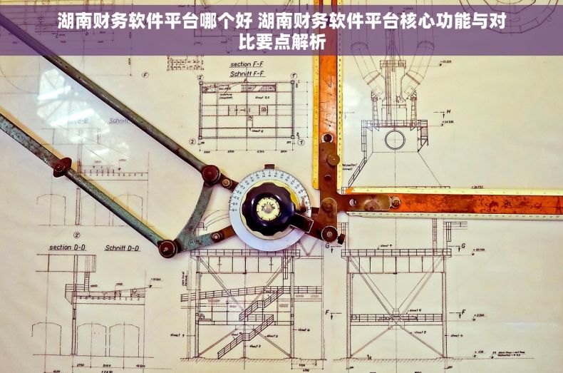 湖南财务软件平台哪个好 湖南财务软件平台核心功能与对比要点解析