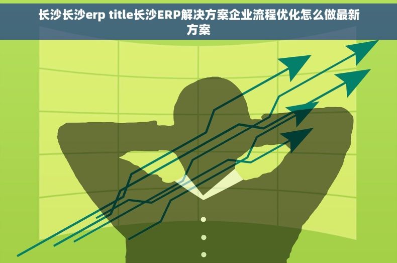 长沙长沙erp title长沙ERP解决方案企业流程优化怎么做最新方案