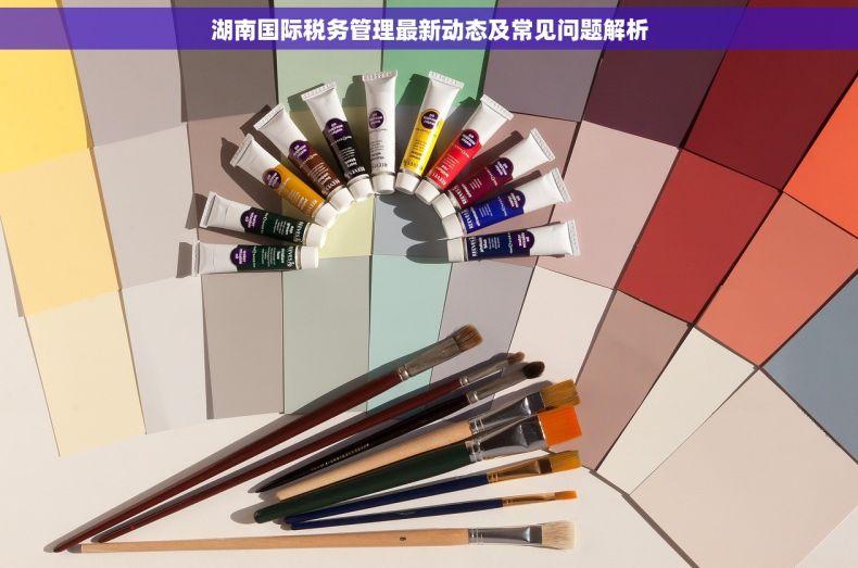 湖南国际税务管理最新动态及常见问题解析