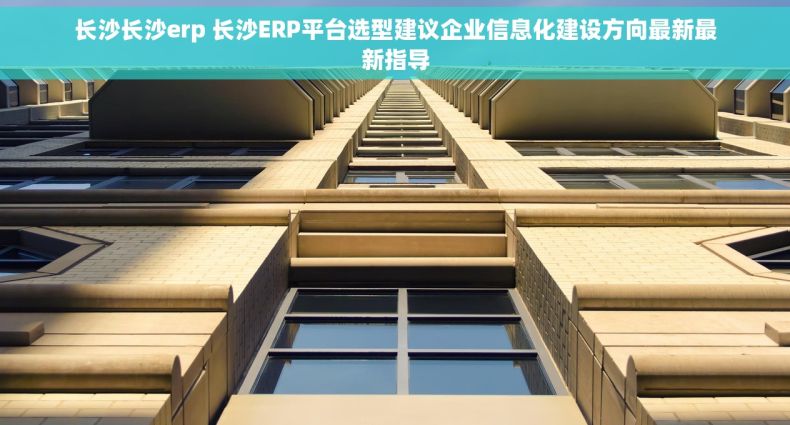 长沙长沙erp 长沙ERP平台选型建议企业信息化建设方向最新最新指导