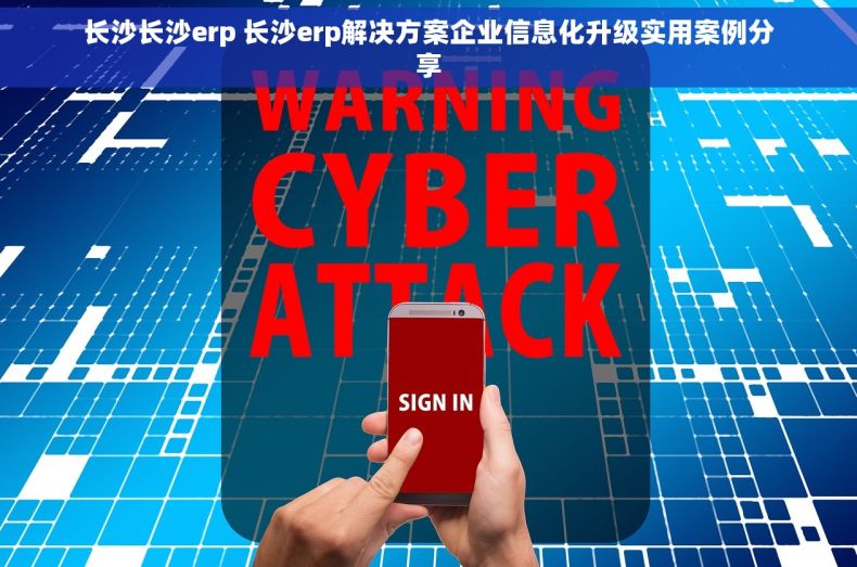 长沙长沙erp 长沙erp解决方案企业信息化升级实用案例分享