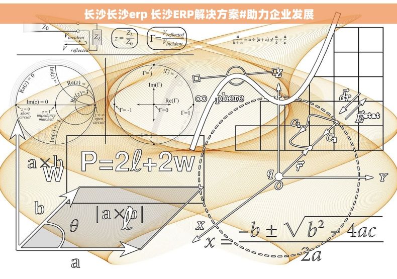 长沙长沙erp 长沙ERP解决方案#助力企业发展