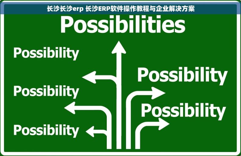 长沙长沙erp 长沙ERP软件操作教程与企业解决方案