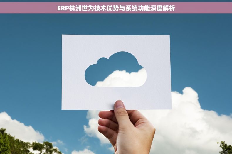 ERP株洲世为技术优势与系统功能深度解析