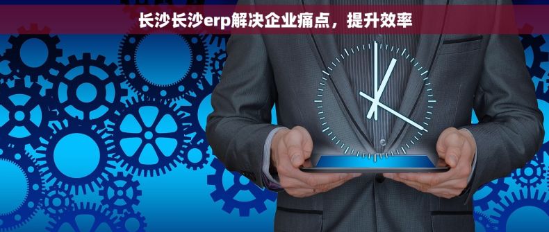 长沙长沙erp解决企业痛点，提升效率