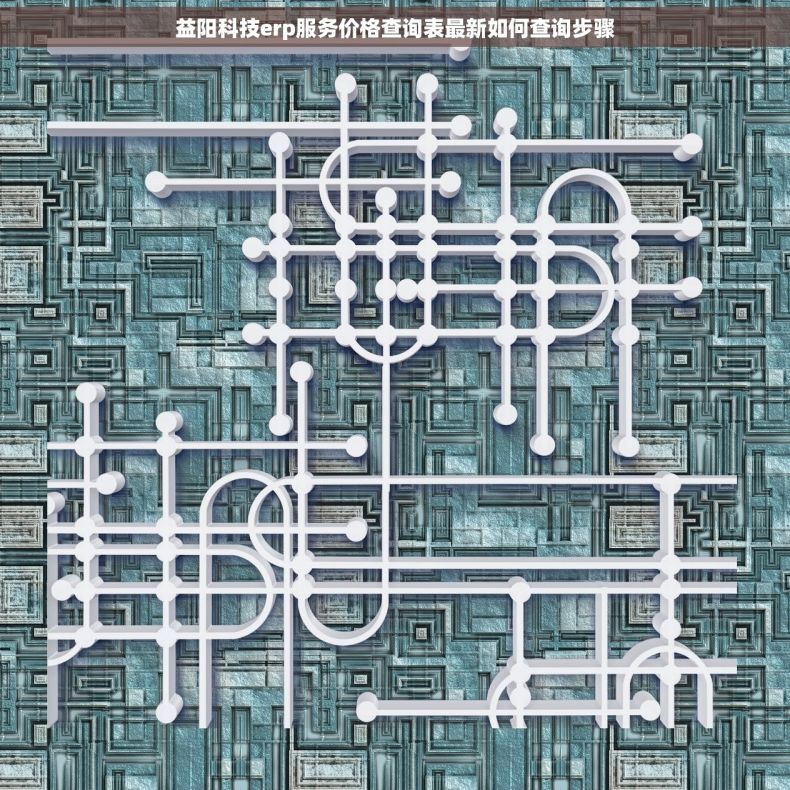 益阳科技erp服务价格查询表最新如何查询步骤