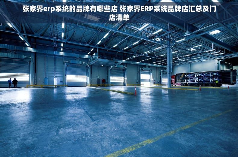 张家界erp系统的品牌有哪些店 张家界ERP系统品牌店汇总及门店清单