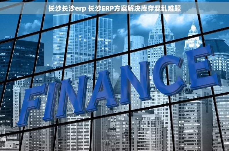 长沙长沙erp 长沙ERP方案解决库存混乱难题