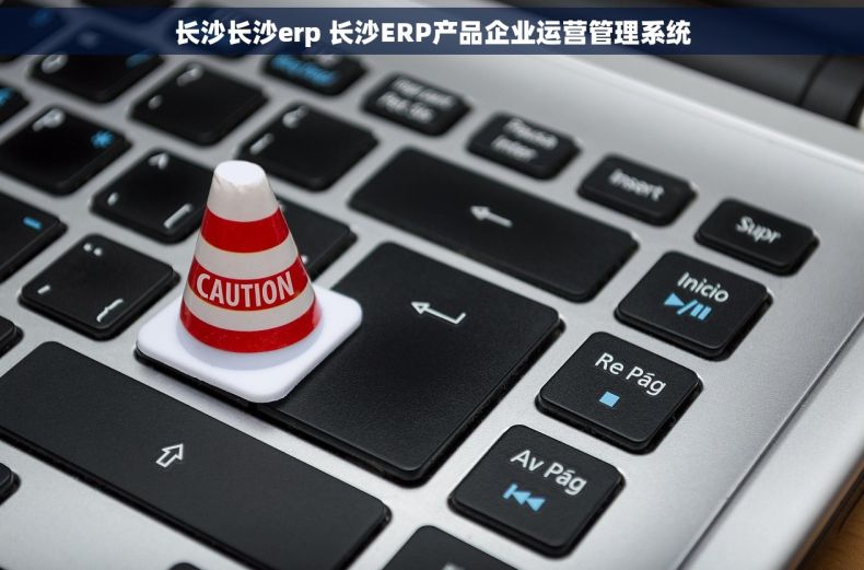 长沙长沙erp 长沙ERP产品企业运营管理系统