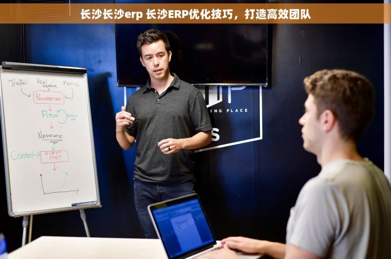 长沙长沙erp 长沙ERP优化技巧，打造高效团队