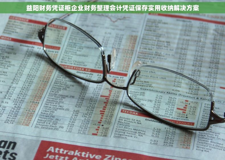 益阳财务凭证柜企业财务整理会计凭证保存实用收纳解决方案