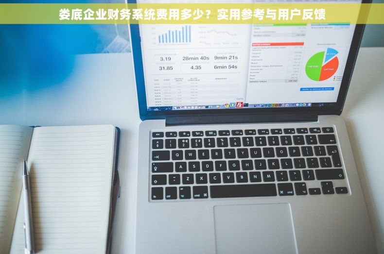 娄底企业财务系统费用多少？实用参考与用户反馈