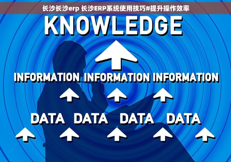 长沙长沙erp 长沙ERP系统使用技巧#提升操作效率