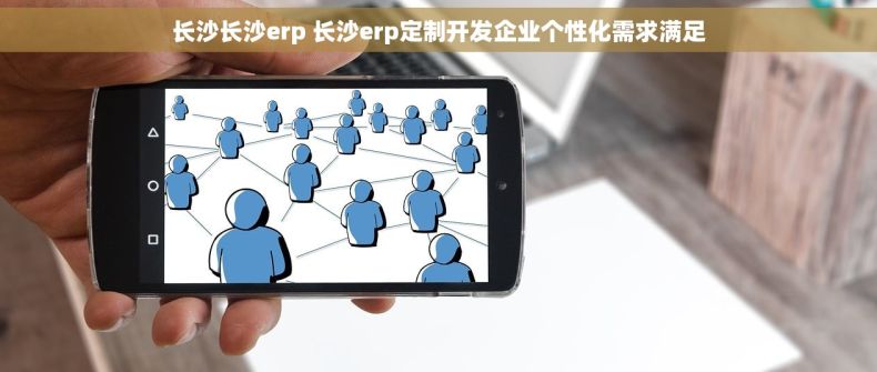 长沙长沙erp 长沙erp定制开发企业个性化需求满足