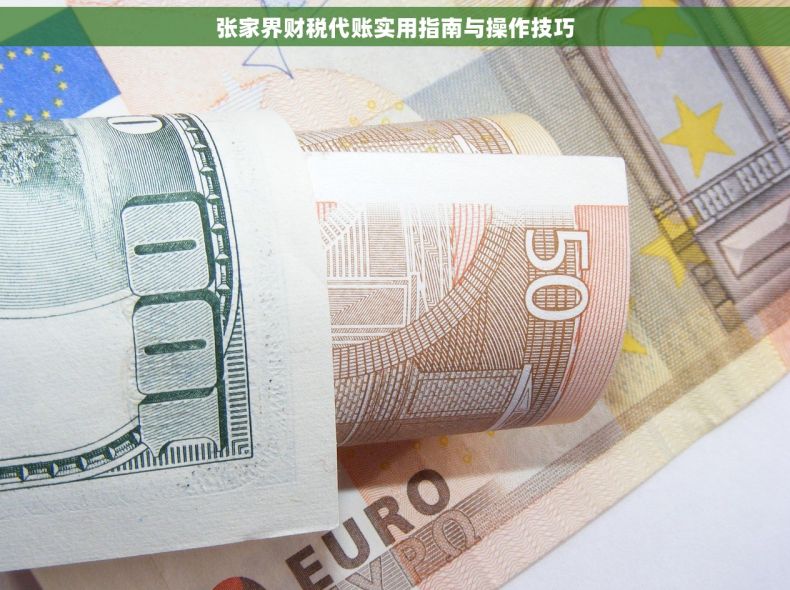 张家界财税代账实用指南与操作技巧