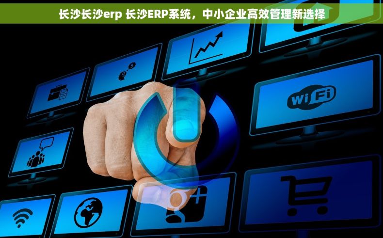 长沙长沙erp 长沙ERP系统，中小企业高效管理新选择
