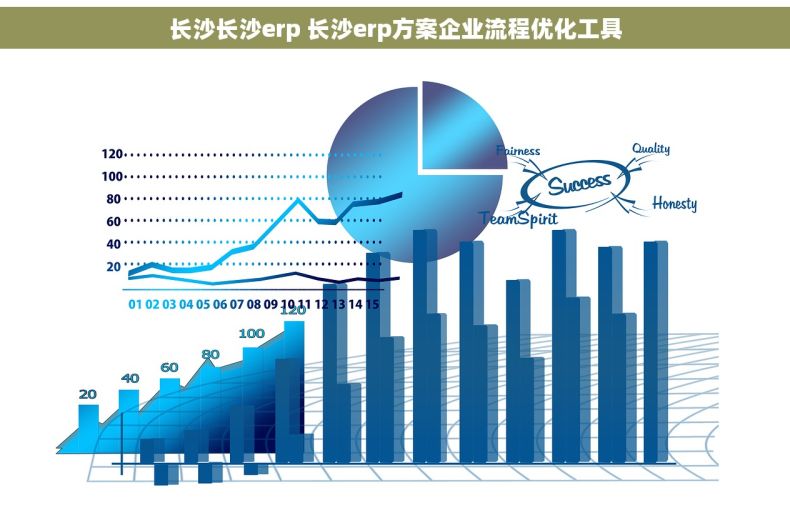 长沙长沙erp 长沙erp方案企业流程优化工具
