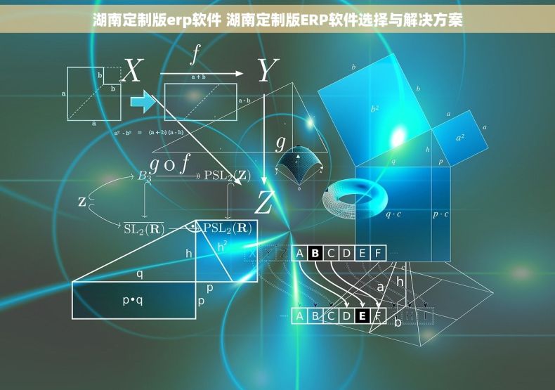 湖南定制版erp软件 湖南定制版ERP软件选择与解决方案