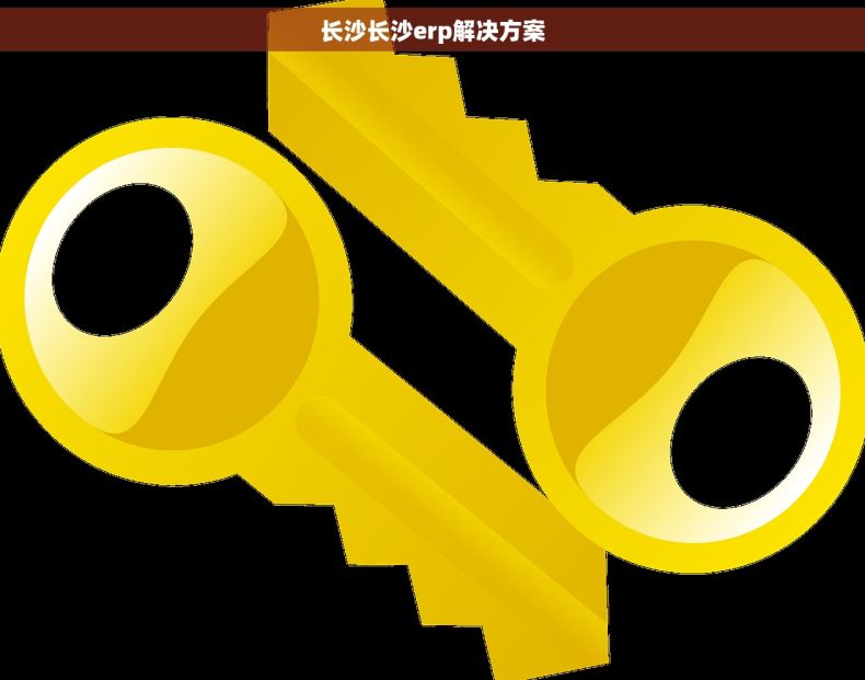 长沙长沙erp解决方案