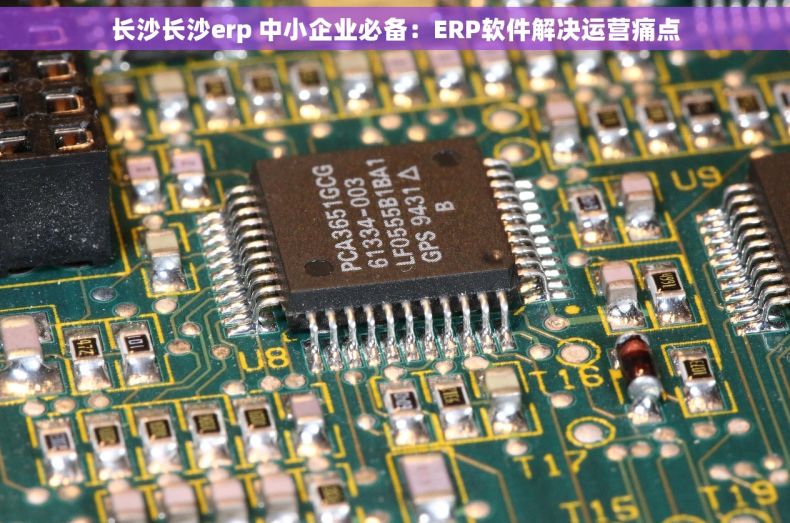 长沙长沙erp 中小企业必备：ERP软件解决运营痛点