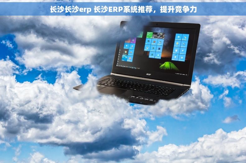长沙长沙erp 长沙ERP系统推荐，提升竞争力