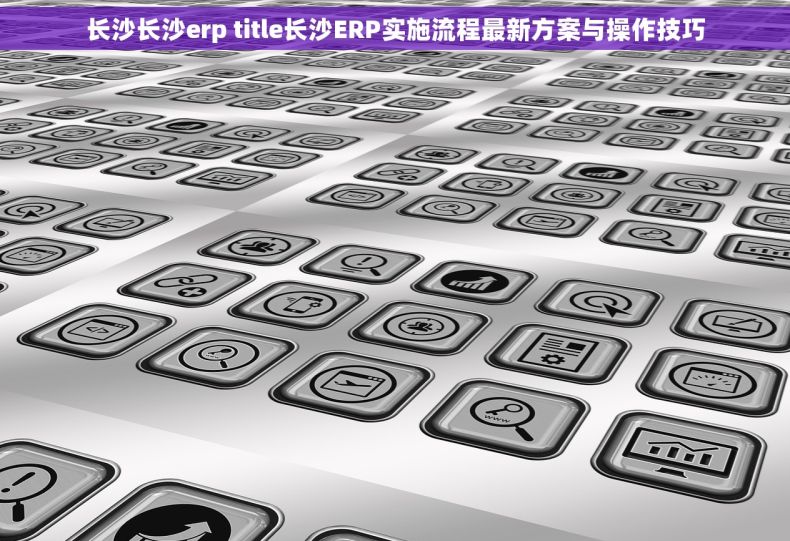 长沙长沙erp title长沙ERP实施流程最新方案与操作技巧