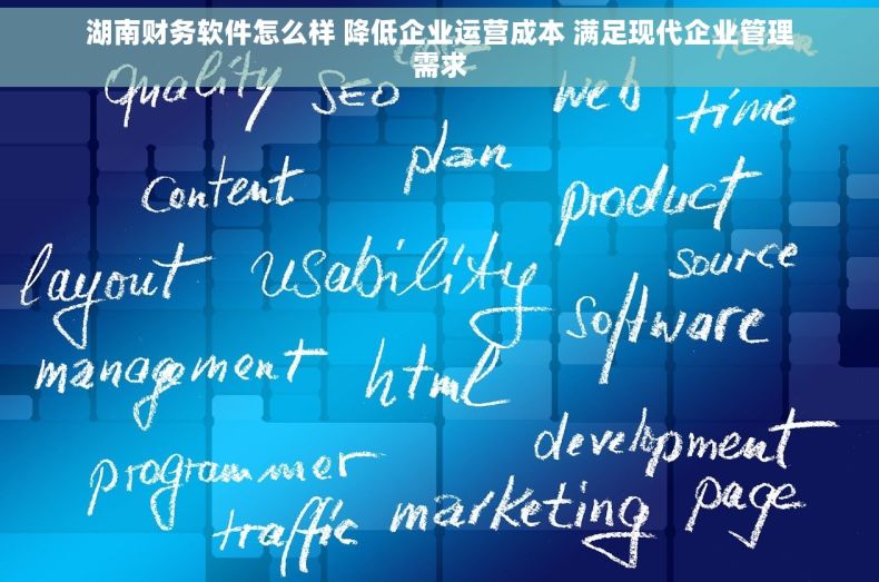 湖南财务软件怎么样 降低企业运营成本 满足现代企业管理需求