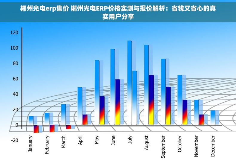 郴州光电erp售价 郴州光电ERP价格实测与报价解析：省钱又省心的真实用户分享