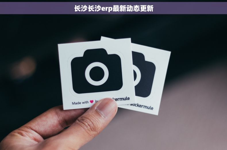 长沙长沙erp最新动态更新