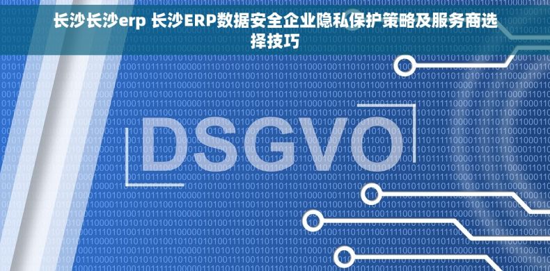 长沙长沙erp 长沙ERP数据安全企业隐私保护策略及服务商选择技巧