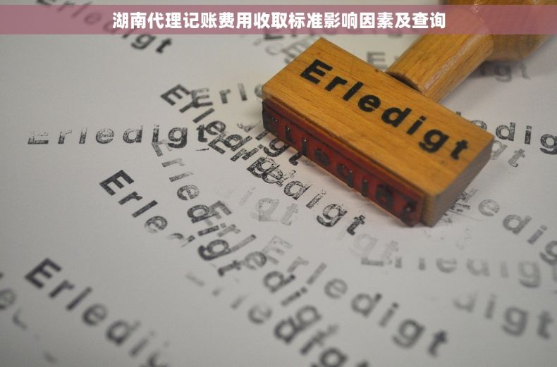 湖南代理记账费用收取标准影响因素及查询