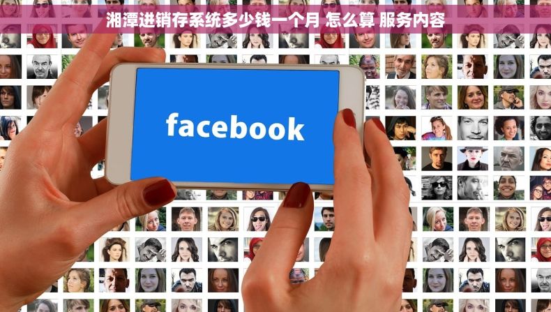 湘潭进销存系统多少钱一个月 怎么算 服务内容