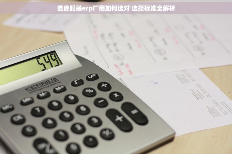 娄底服装erp厂商如何选对 选择标准全解析
