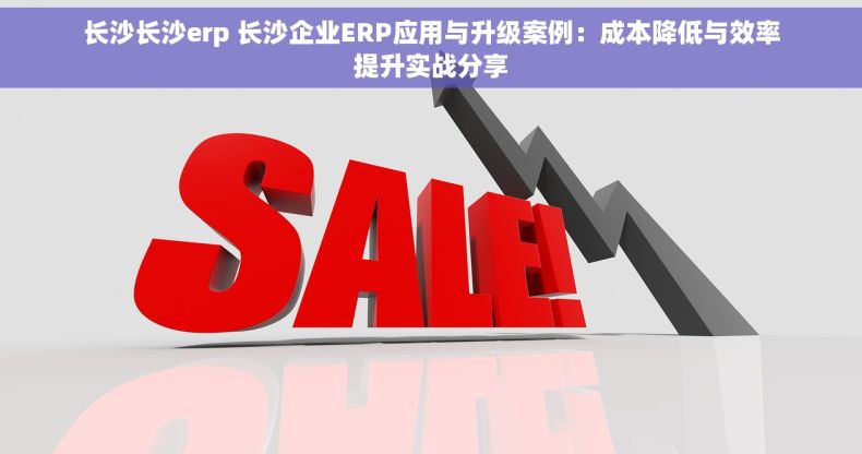 长沙长沙erp 长沙企业ERP应用与升级案例：成本降低与效率提升实战分享