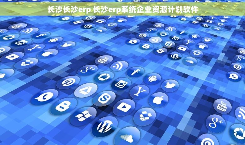 长沙长沙erp 长沙erp系统企业资源计划软件