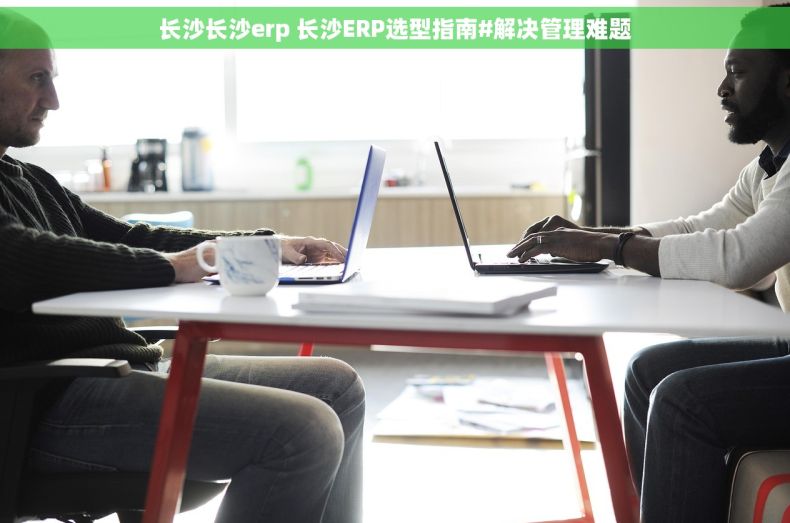 长沙长沙erp 长沙ERP选型指南#解决管理难题