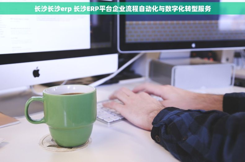 长沙长沙erp 长沙ERP平台企业流程自动化与数字化转型服务
