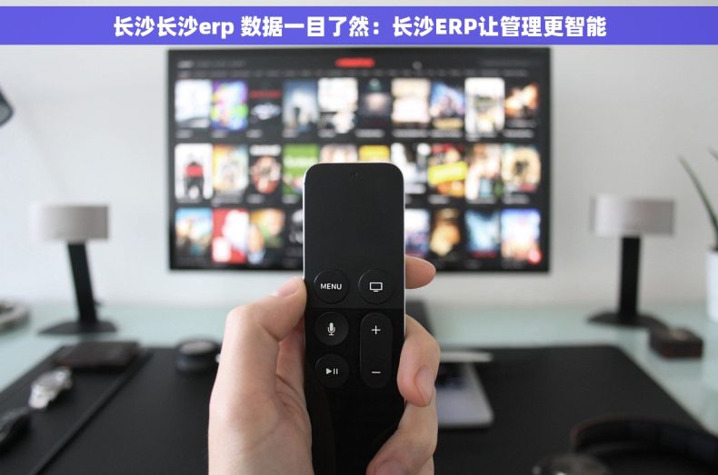 长沙长沙erp 数据一目了然：长沙ERP让管理更智能
