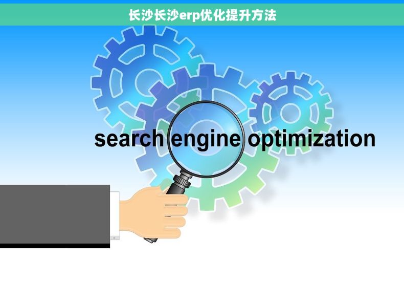 长沙长沙erp优化提升方法