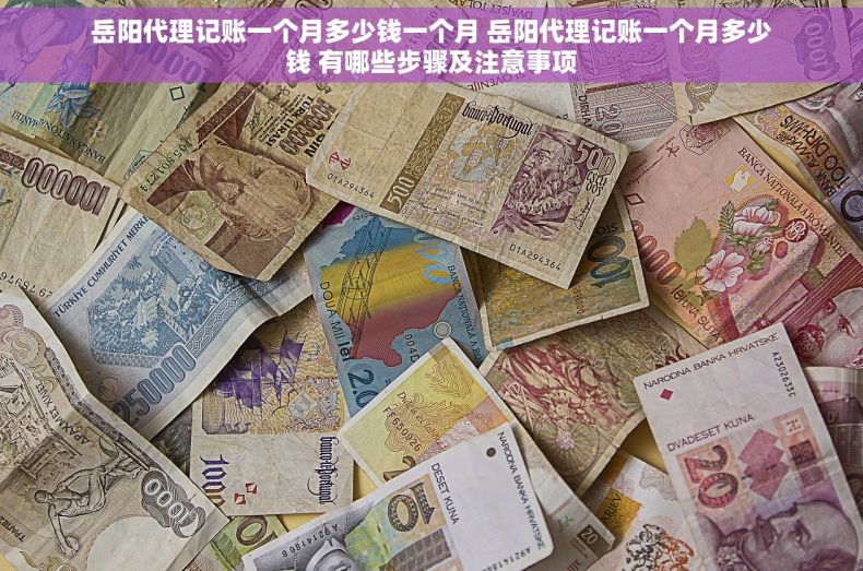 岳阳代理记账一个月多少钱一个月 岳阳代理记账一个月多少钱 有哪些步骤及注意事项