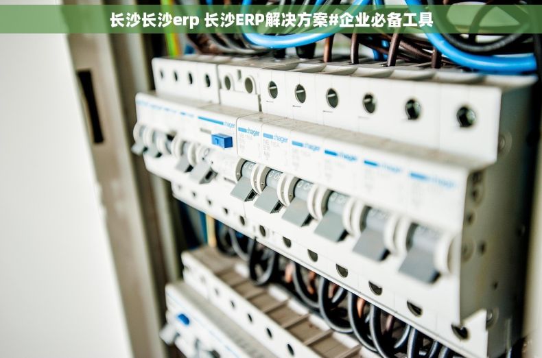 长沙长沙erp 长沙ERP解决方案#企业必备工具