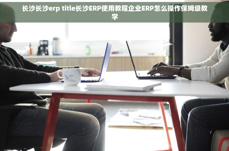 长沙长沙erp title长沙ERP使用教程企业ERP怎么操作保姆级教学
