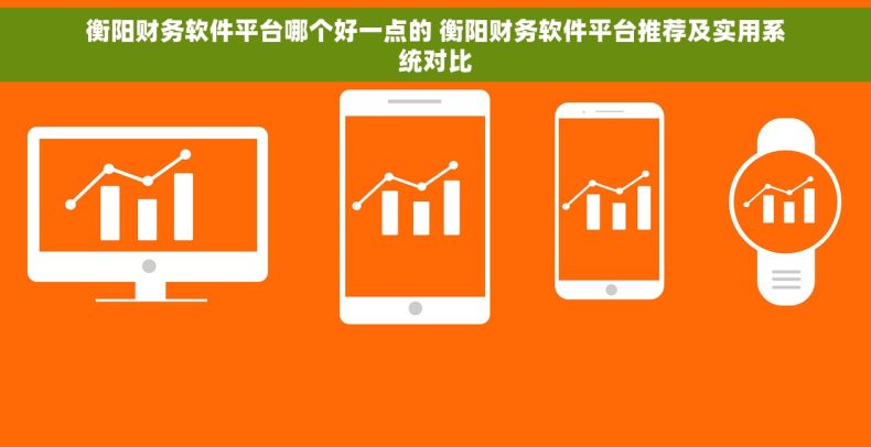 衡阳财务软件平台哪个好一点的 衡阳财务软件平台推荐及实用系统对比