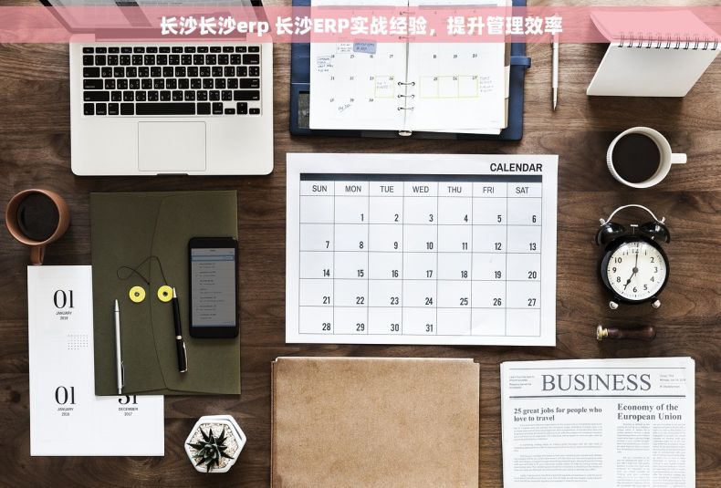 长沙长沙erp 长沙ERP实战经验，提升管理效率