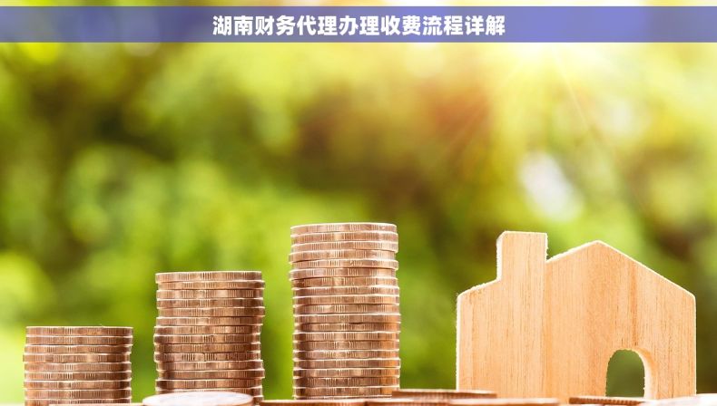 湖南财务代理办理收费流程详解
