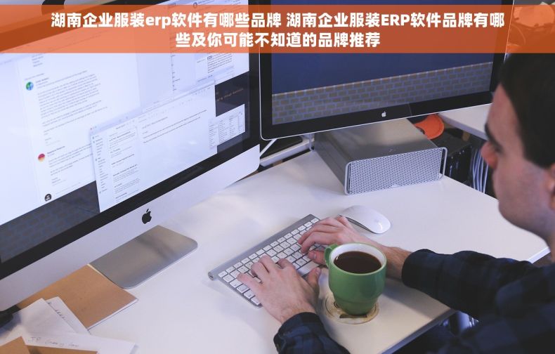 湖南企业服装erp软件有哪些品牌 湖南企业服装ERP软件品牌有哪些及你可能不知道的品牌推荐