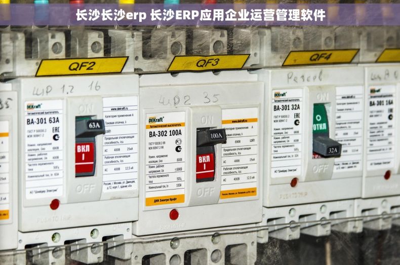 长沙长沙erp 长沙ERP应用企业运营管理软件