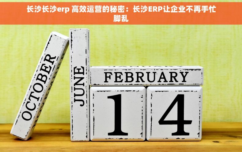 长沙长沙erp 高效运营的秘密：长沙ERP让企业不再手忙脚乱