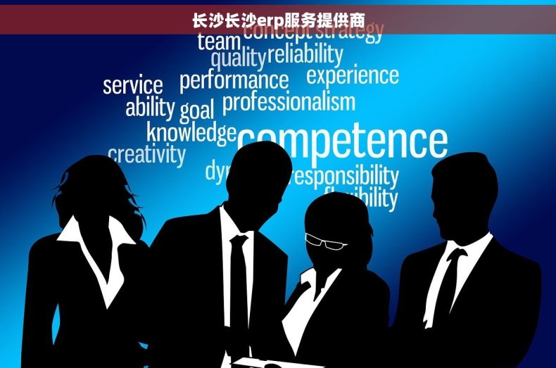 长沙长沙erp服务提供商