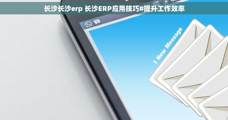 长沙长沙erp 长沙ERP应用技巧#提升工作效率